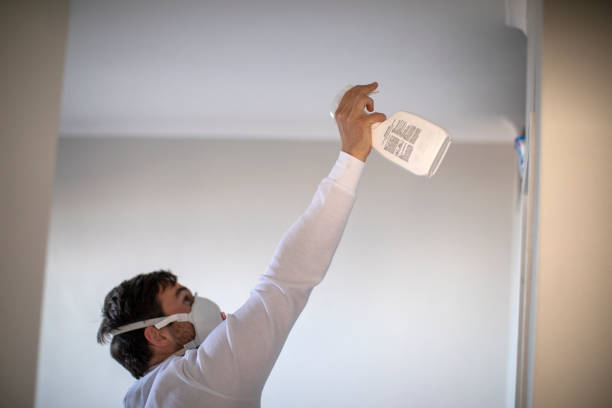 Best Mold Removal Specialists  in Stanaford, WV