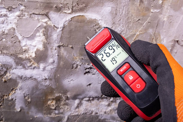 Best Water Damage Restoration  in Stanaford, WV